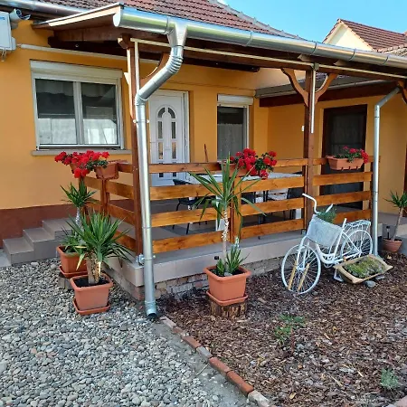 Junior Apartman Apartment